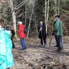 03 bei Waldhausen - Schättere-Trasse